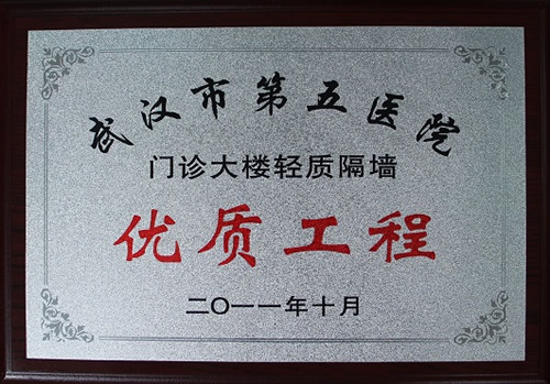 武漢市第五醫院門診大樓輕質